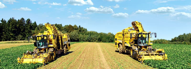 Beet harvester ROPA Panther