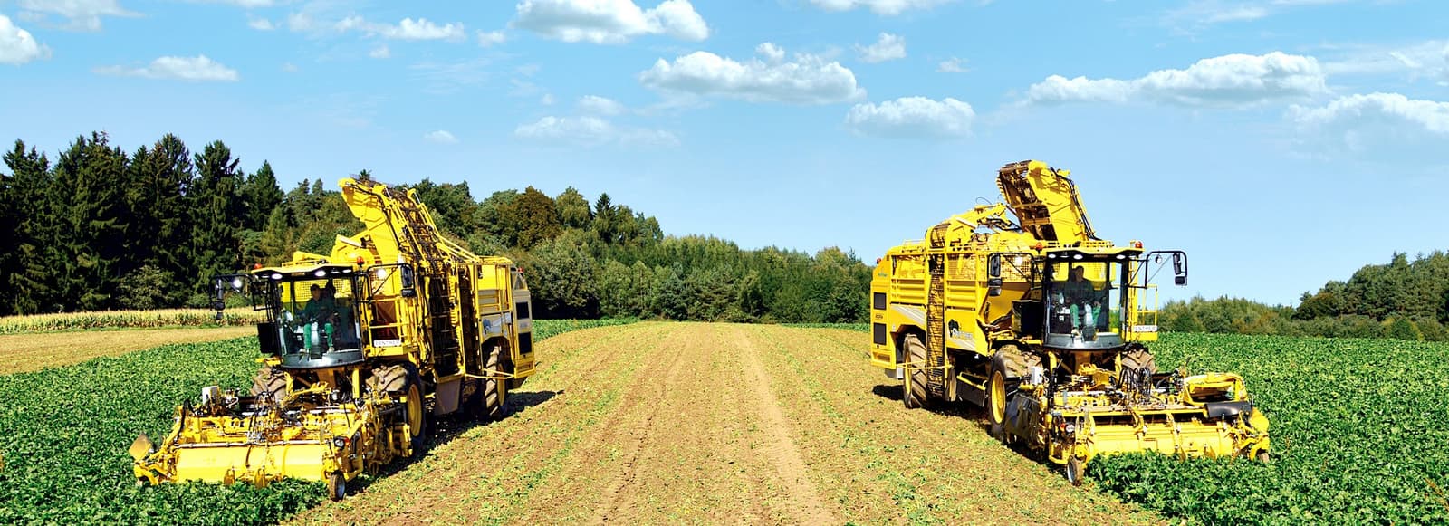 Beet harvester ROPA Panther