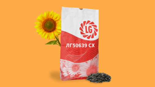 ЛГ50639 СХ, соняшник