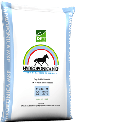 Hydroponica MKP