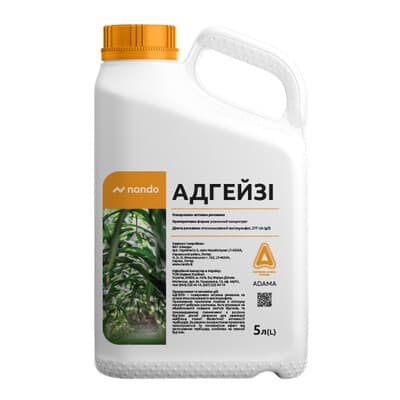 АДГЕЙЗІ