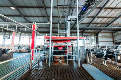 Parlor equipment Lely Astronaut Max