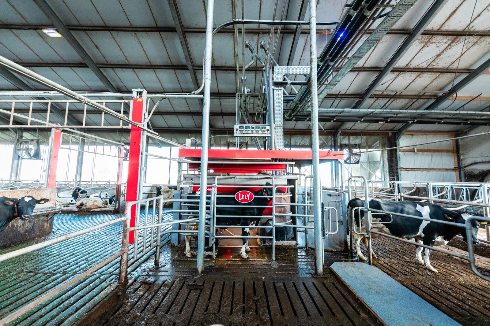 Обладнання доїльного залу Lely Astronaut Max