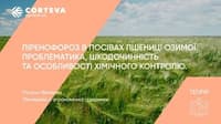 Аканто Плюс — зображення 4