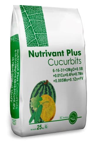 Nutrivant Plus Гарбузовий