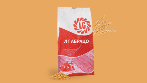 ЛГ Абрацо, озима пшениця