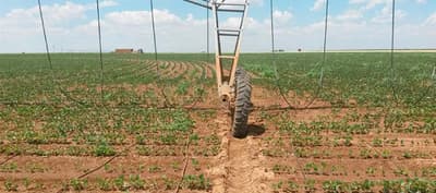 Drip irrigation system T-L Irrigation PMDI™