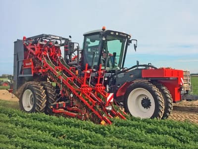 Beet harvester Dewulf ZKIIS