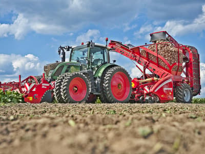 Beet harvester GRIMME ROOTSTER 604