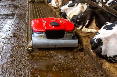 Barn cleaner Lely Discovery Collector