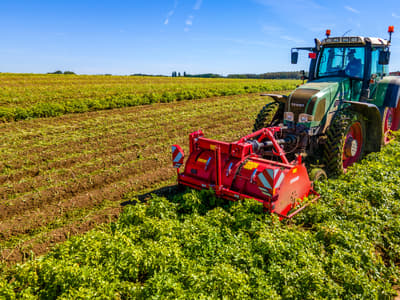 Haulm topper GRIMME TOPPA 200