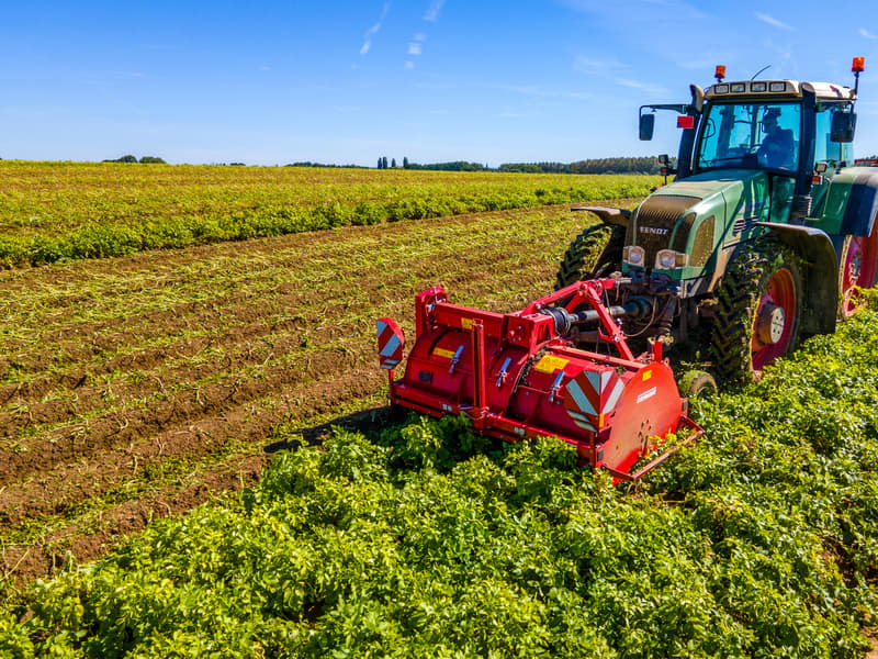 Haulm topper GRIMME TOPPA 200