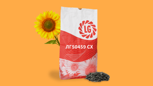 ЛГ50459 СХ, соняшник
