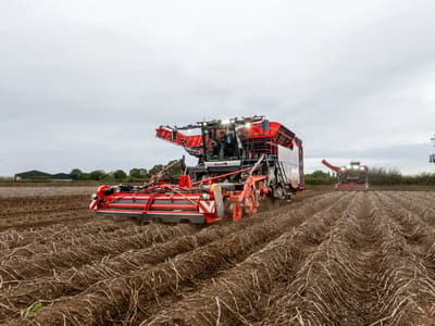 Potato harvester Dewulf Kwatro Xtreme