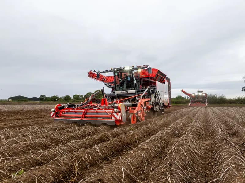 Potato harvester Dewulf Kwatro Xtreme