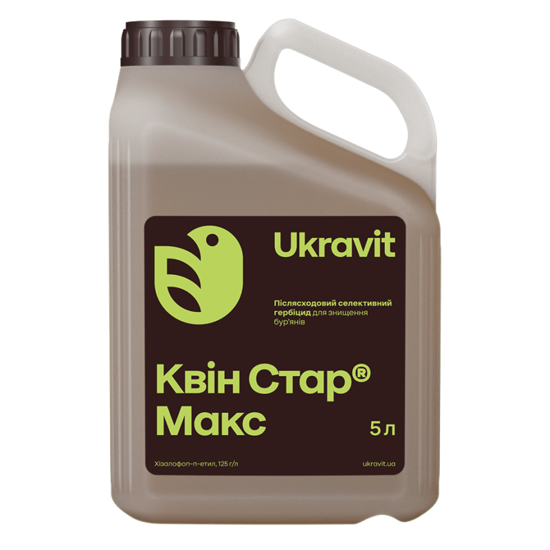 Квін Стар Макс