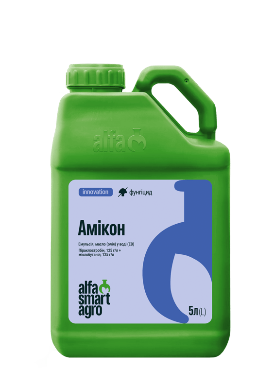 Амікон