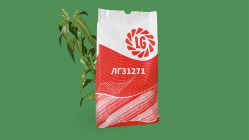 ЛГ31271, кукурудза на силос
