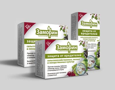 Zamoryn