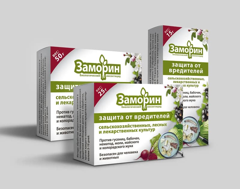 Zamoryn