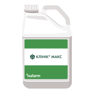 Clinic Max