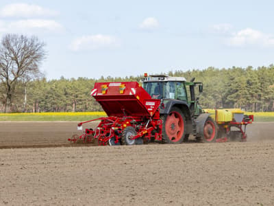 Potato planter GRIMME GB 215