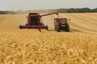 Harvesting services. Combine services. Combine rental — image 2