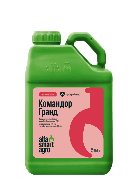 Командор Гранд