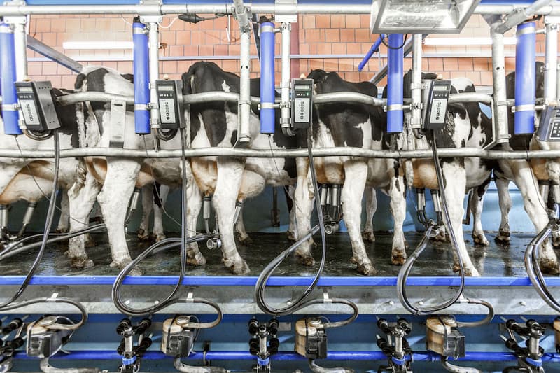 Обладнання доїльного залу DeLaval HB50