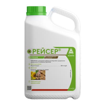 РЕЙСЕР
