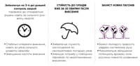 Зорвек Інкантія — зображення 2