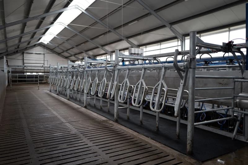 Обладнання доїльного залу DeLaval P300