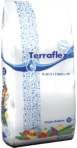 Терафлекс Старт (11-40-11+2MgO+TE)