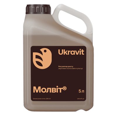Molvit