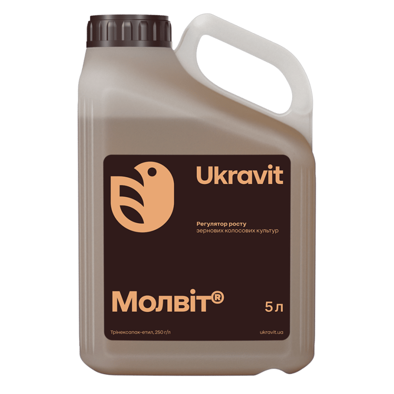 Молвіт
