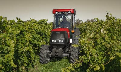 Orchard tractor Case IH Farmall 80N