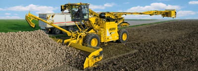 Beet cleaner loader ROPA euro-Maus 4
