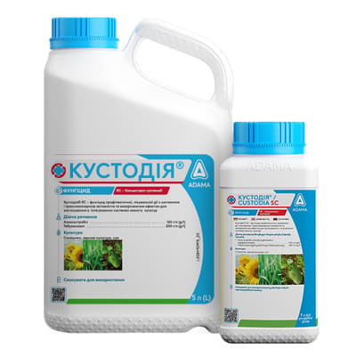 Кустодія
