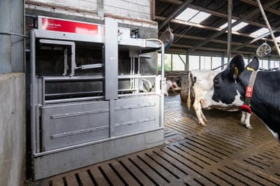 Lely Hoof bath for Lely Meteor
