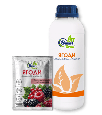 SmartGrow Berries