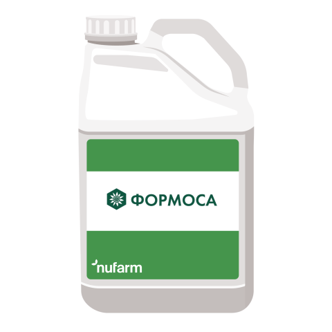Формоса