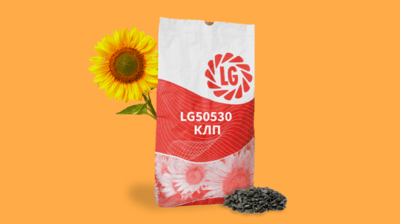 LG 50530 CLP Sunflower