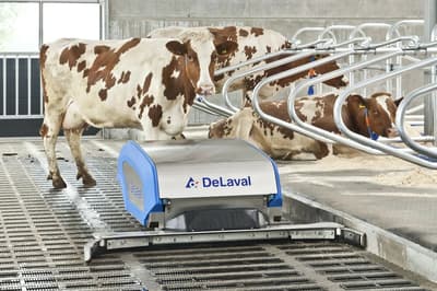 Barn cleaner DeLaval RS450S