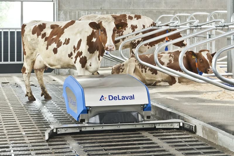Робот для прибирання гною DeLaval RS450S