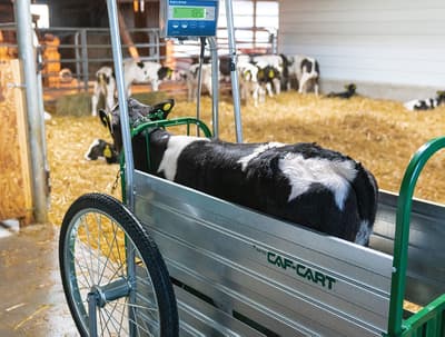 Topcon Agriculture Calf Cart Scale System