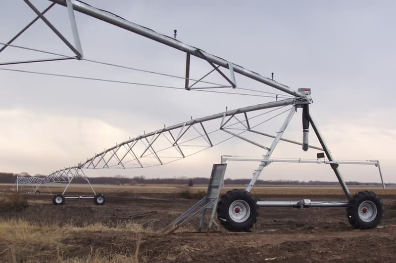 Reinke Wrap Span