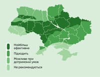 Пионер P8834WX — сурет 2