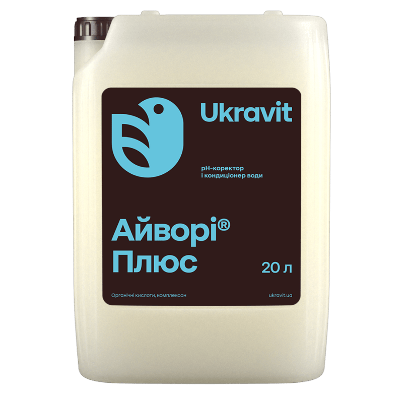 Айворі Плюс