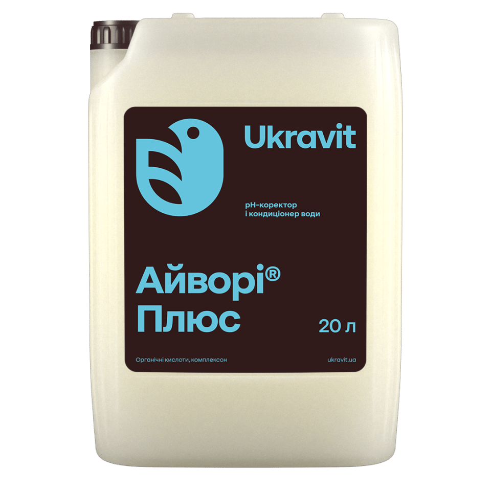 Айворі Плюс
