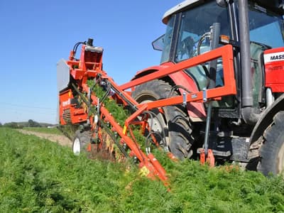 Beet harvester Dewulf P3CL Profi